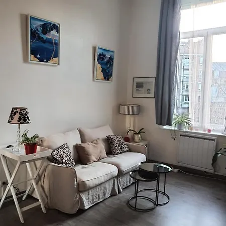 Apartment Apart Au Standing - Ambiance Cosy - Dans Un Immeuble De Prestige Du 19eme Siecle - Terrasse Au Rdc - Parking Lille