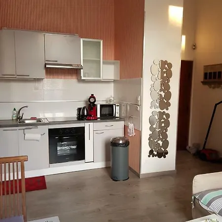 Apartment Apart Au Standing - Ambiance Cosy - Dans Un Immeuble De Prestige Du 19eme Siecle - Terrasse Au Rdc - Parking Lille